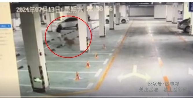 广安一女子被未拴绳的大狗扑赶，危急关头与狗对峙