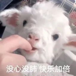“提前退休”真的来了！这个省7月1日起正式施行！你期待吗？
