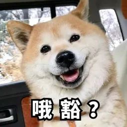 找工作的速看！100个“最缺工”职业公布！有你想找的吗？