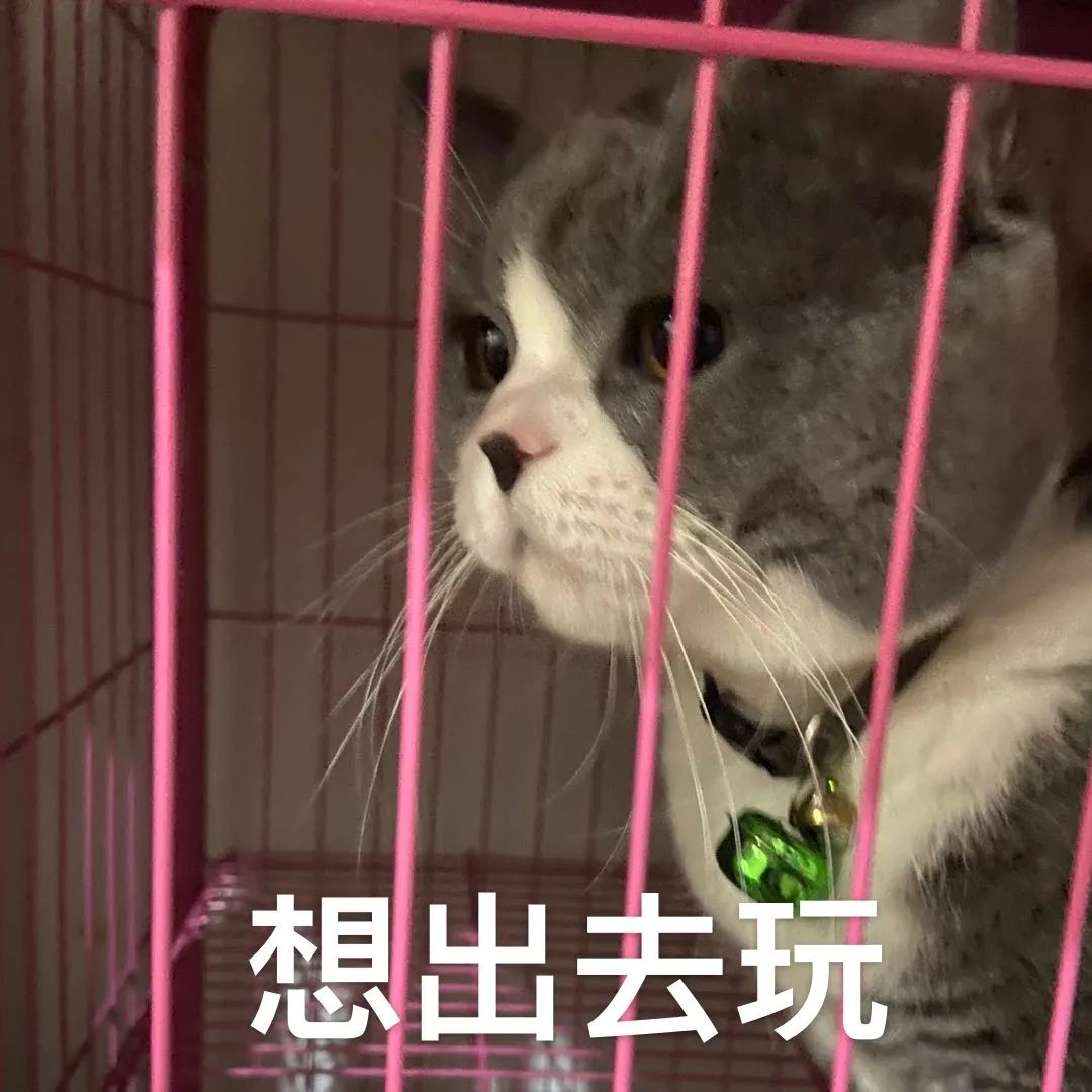 事关出行！高速公路收费或有变！