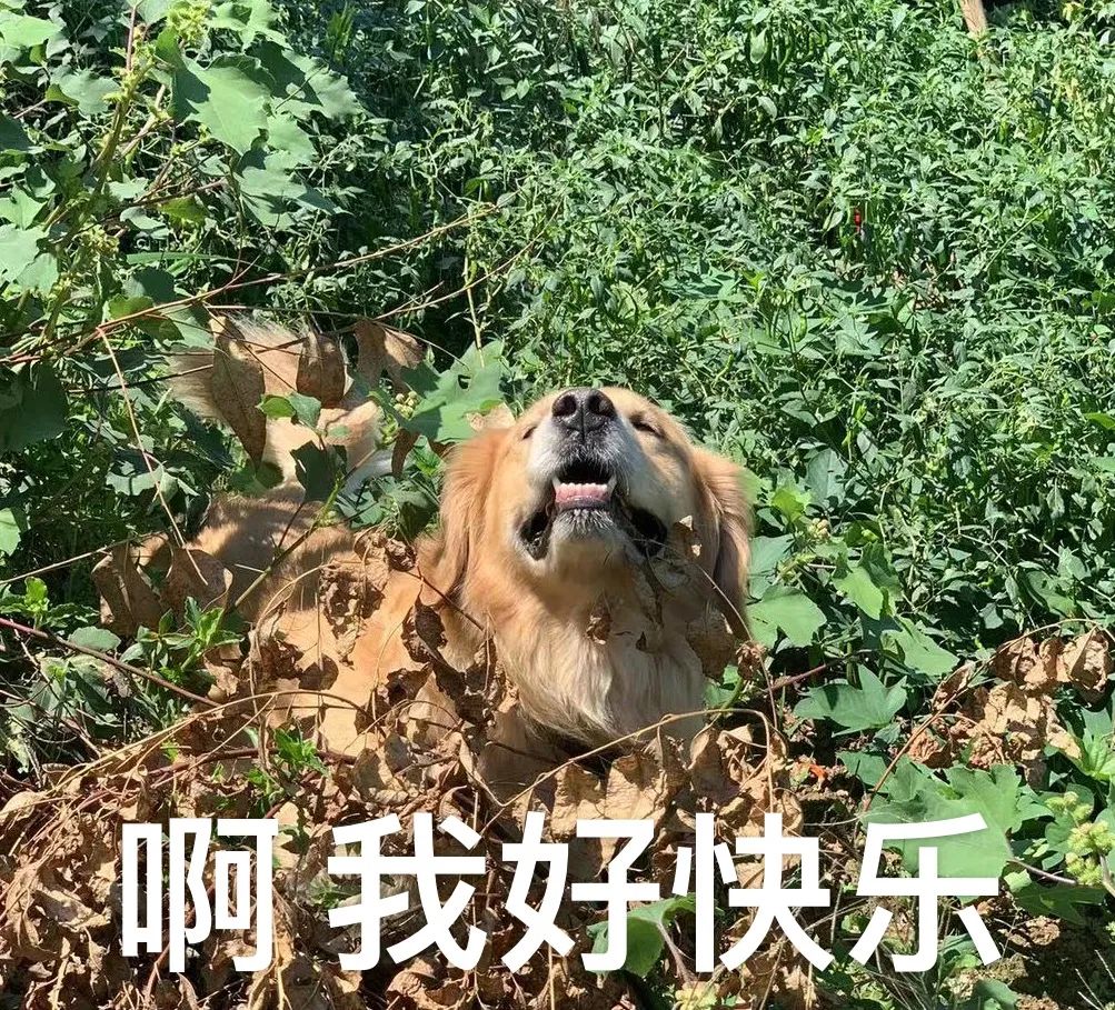 当心！教育部发布重要预警！