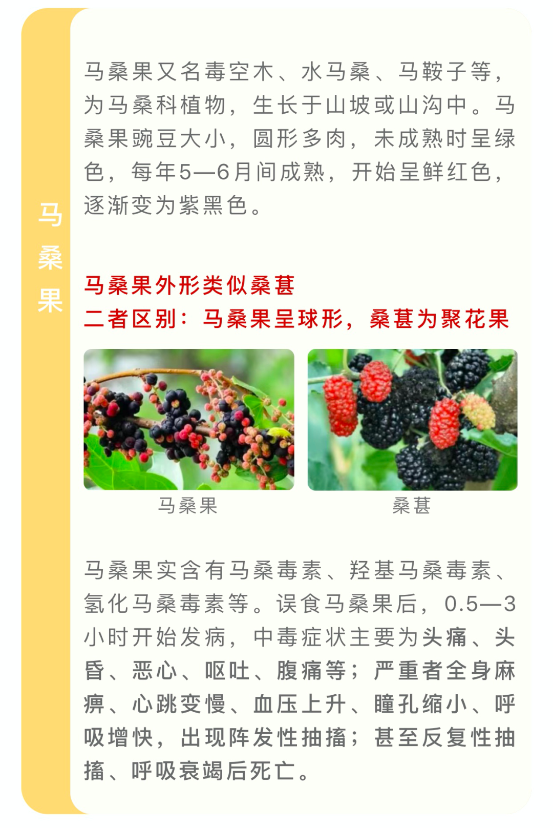 岳池人注意！夏季这些常见的植物有毒