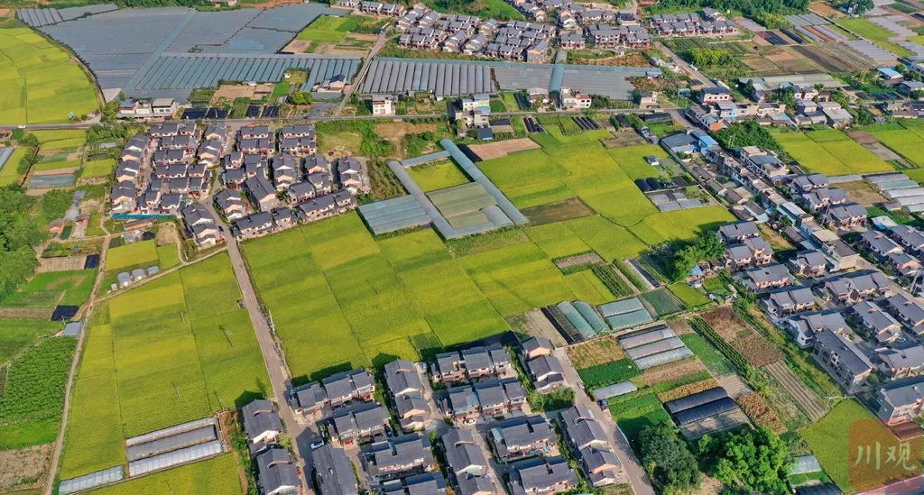 50个！四川乡村振兴重点帮扶村名单出炉，岳池有这些村