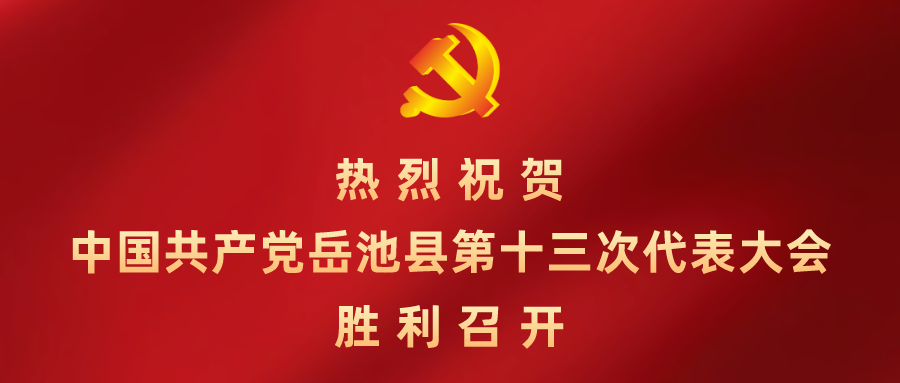 【一图读懂】中国共产党岳池县第十三次代表大会报告