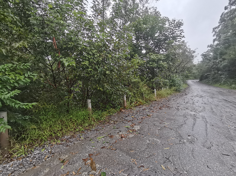 广安一男子盗窃波形护栏当废铁卖 被刑拘！