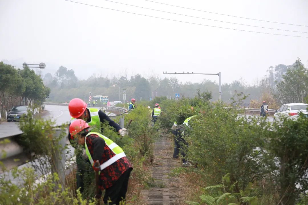 广岳大道将于20天内完成中间绿化带施工
