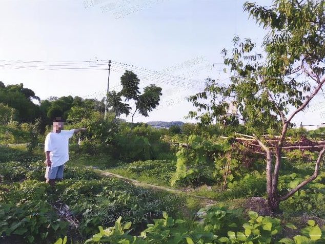 岳池一男子被抓！“鸟儿”不能随便捕……