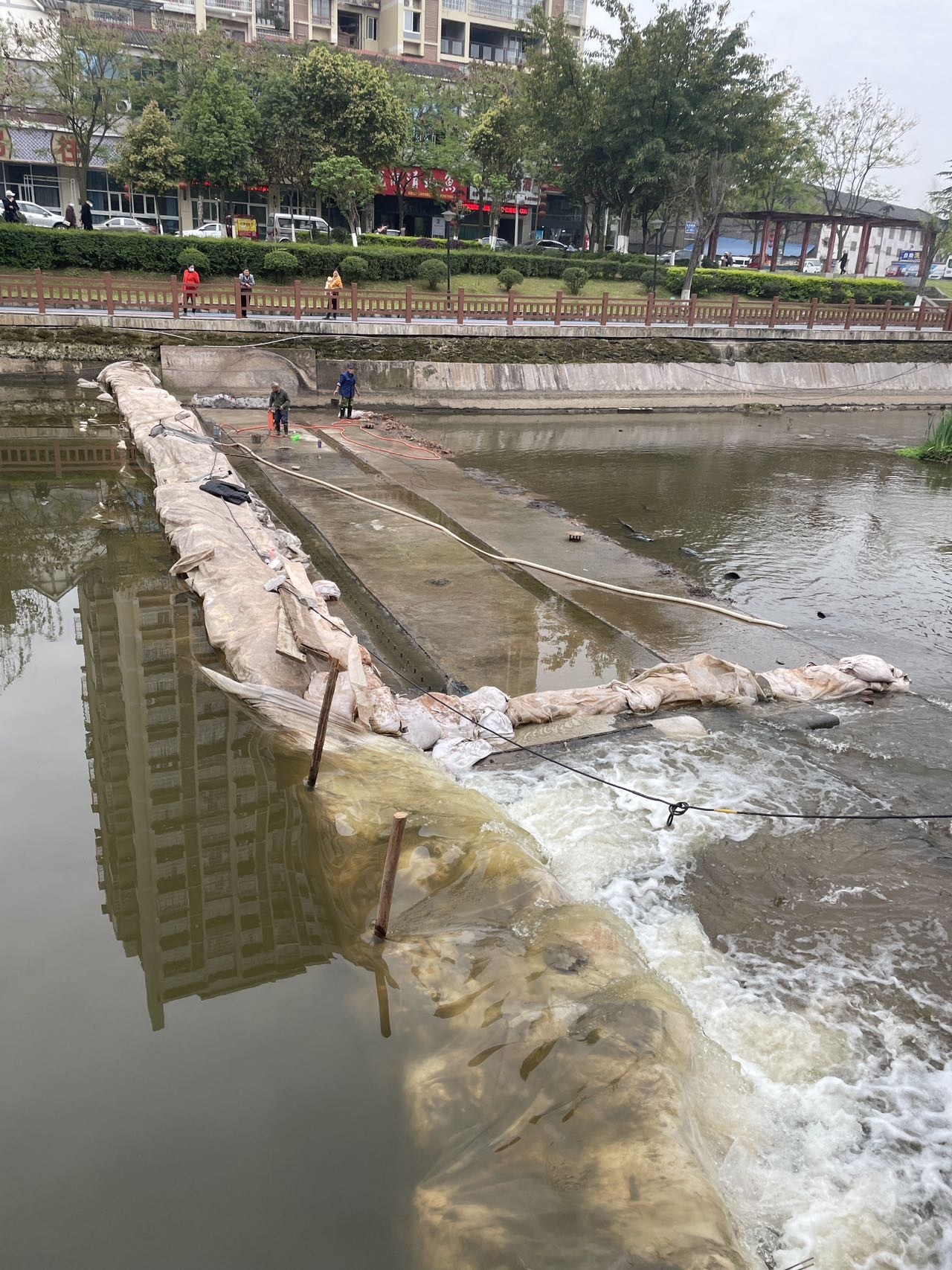 护城河惊现断水重修