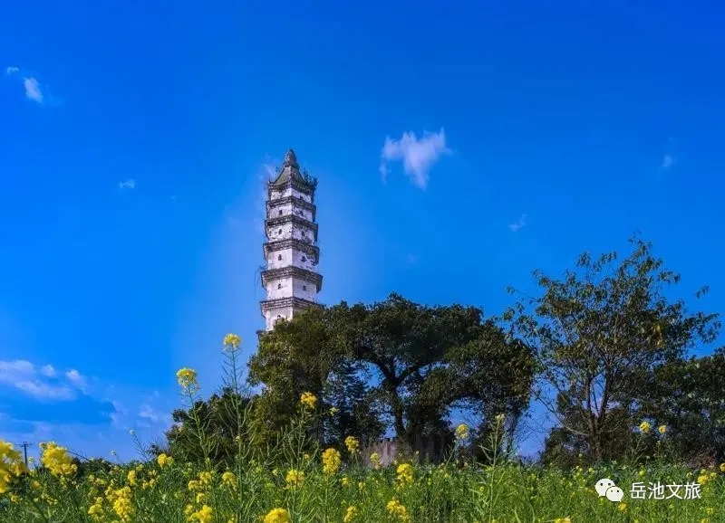 物华天宝，锦绣岳池 ——白塔