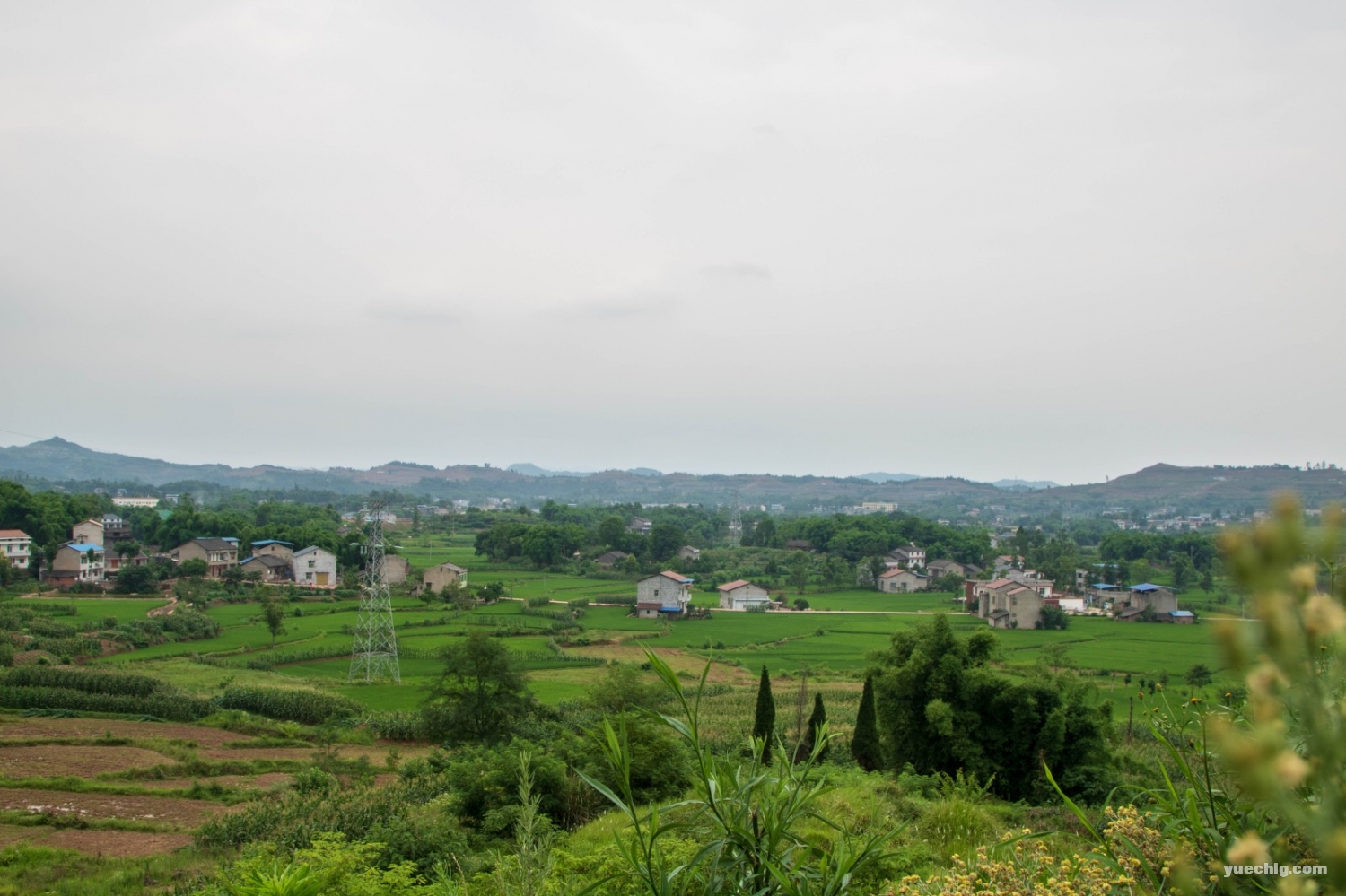 影像岳池 —— 岳池郑家村农家生态文化旅游大道沿途风景